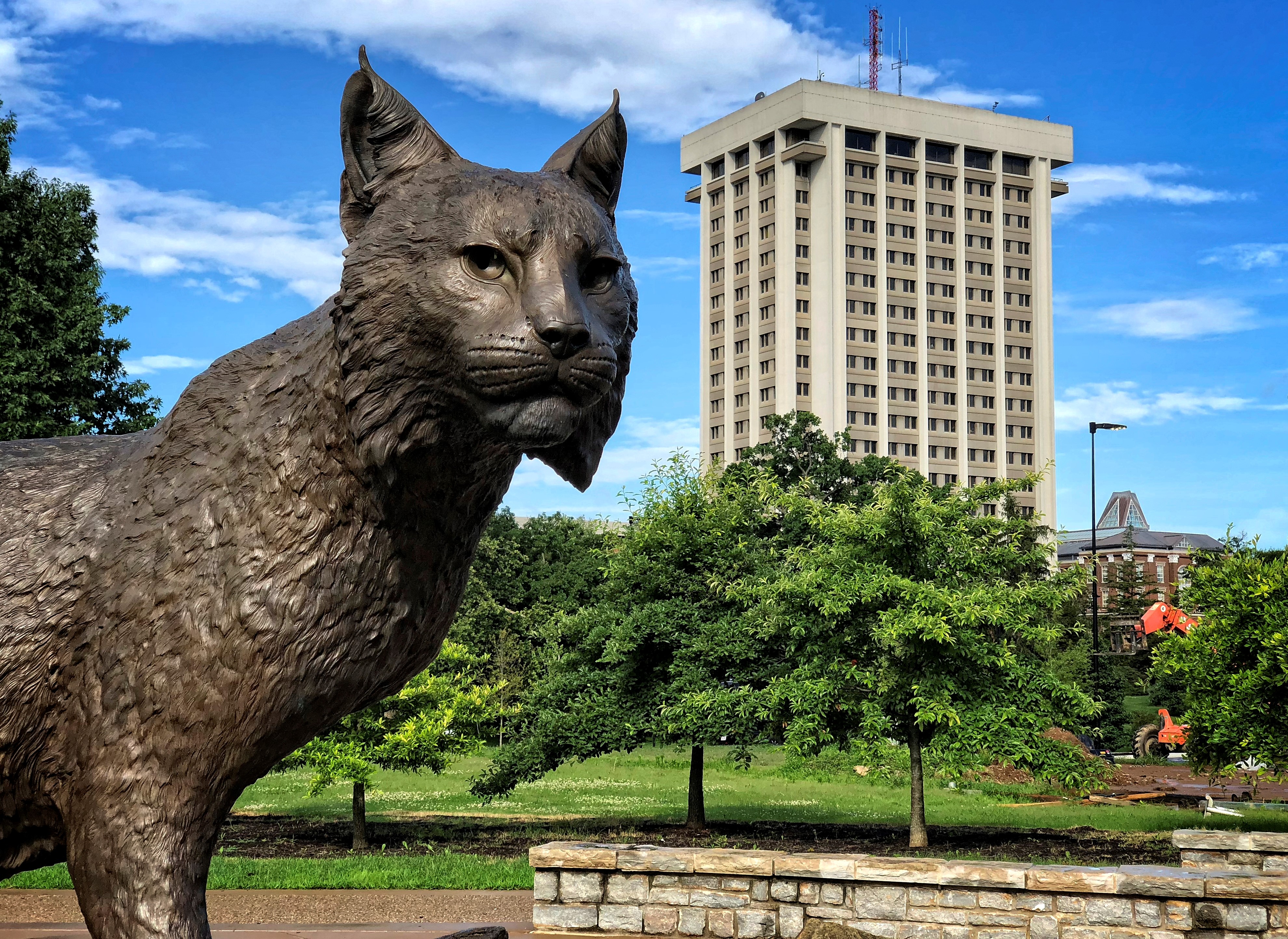 Wildcat Statue and Patterson Office Tower