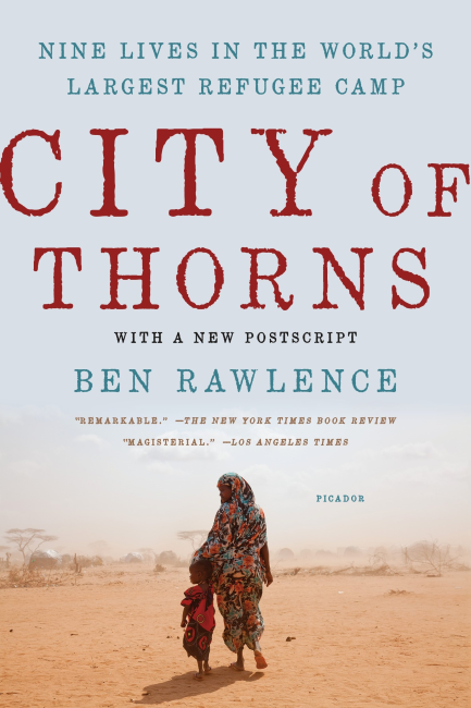 Book Cover, City of Thorns