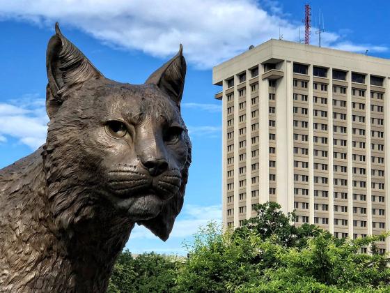 Wildcat statue and Patterson Office Tower